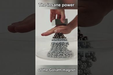 Goliath VS Steel Balls